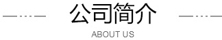 公司简介